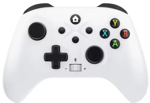 Xbox One Aftermarket Controller