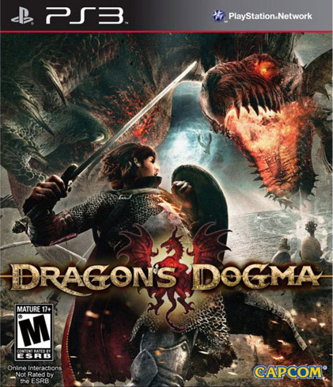 Dragons Dogma